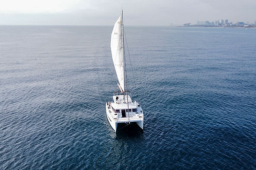 REEF - 01.JPG