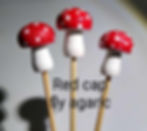 Thumbnail: Plant Stakes