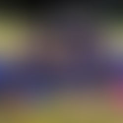 Christmas Training Fun for our teams