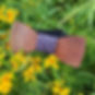 Unknown-5.jpeg