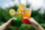 Two hands cheers with vibrant drinks, one green with lemon garnish, the other orange. Background of blurred greenery, conveying a refreshing summer vibe.