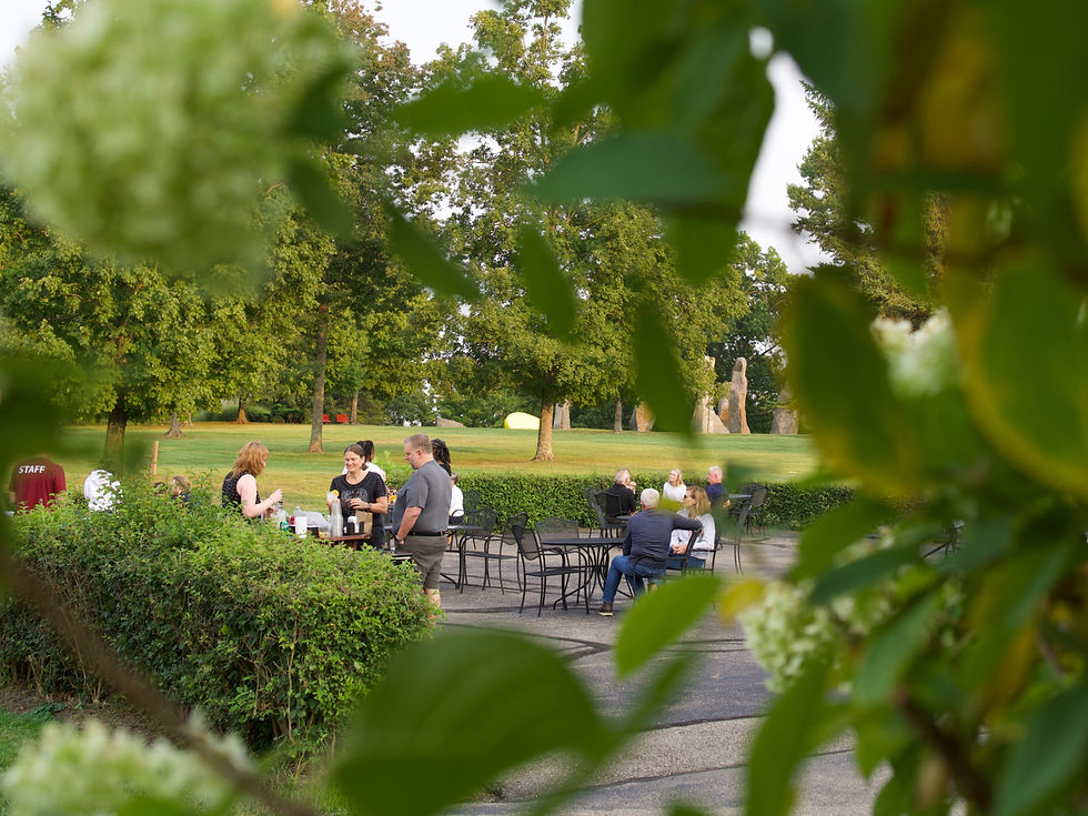 Outdoor gathering with people chatting around tables in a park. Greenery frames the scene, relaxed mood.