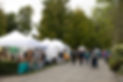 Artists' booths and shoppers at Pyramid Hill's fall outdoor festival