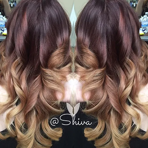 Hair Stylist Beauty Salon Hair Salon Hair Cut Makeup Palm Coast