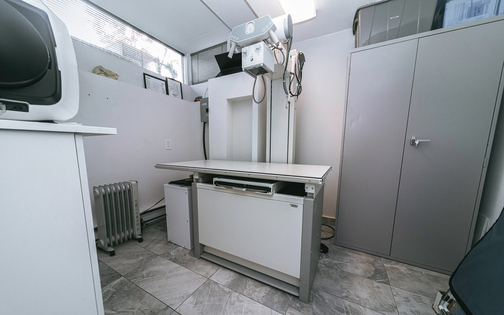 Rosedale Moore Park Vet Clinic at Hazel Cole blog