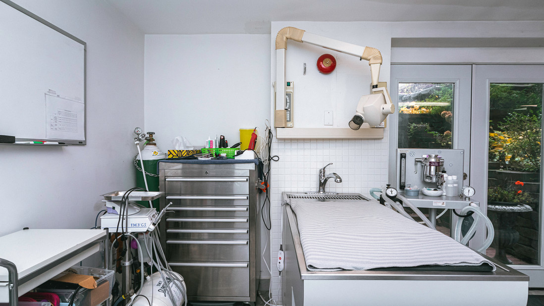 Toronto RosedaleMoore Park Veterinary Clinic