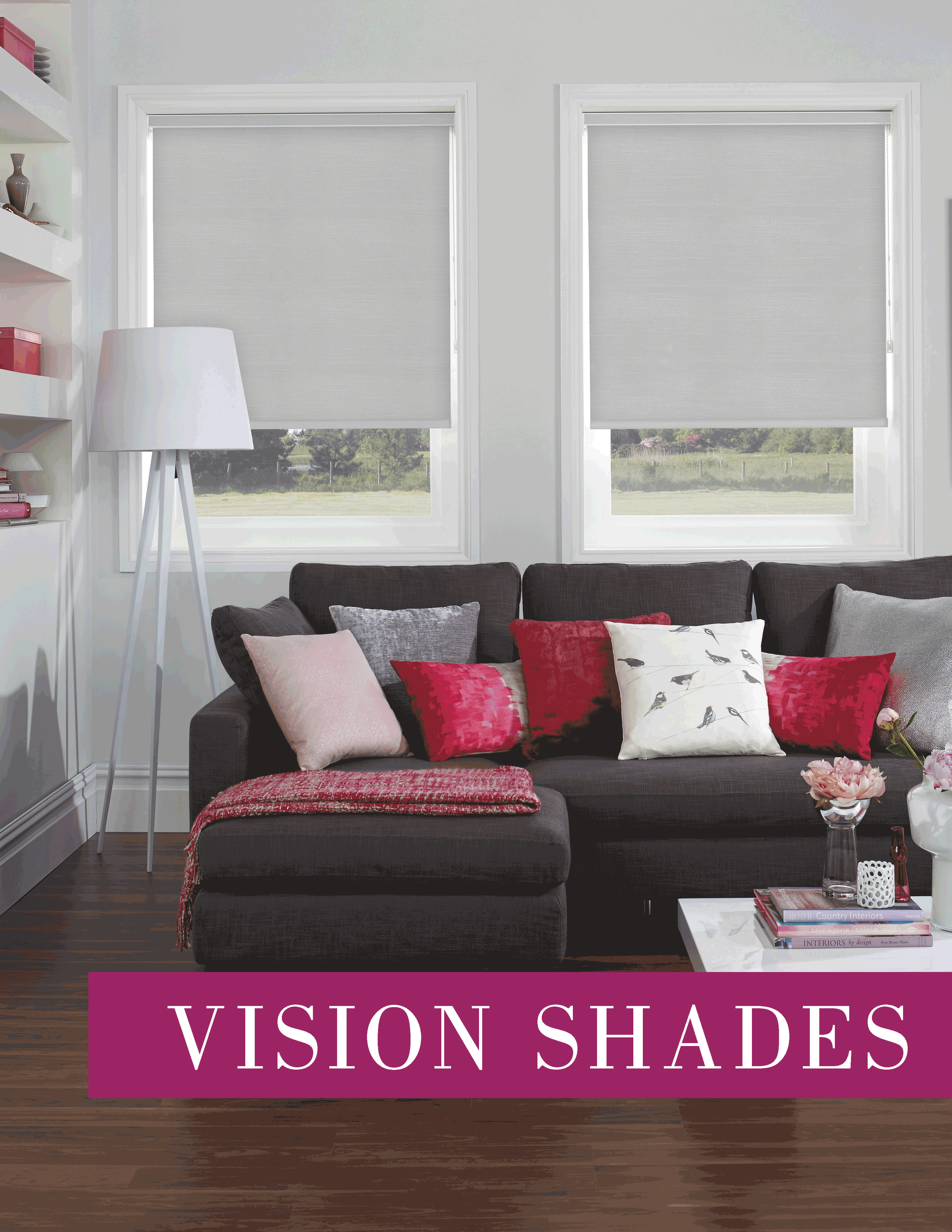 Vision3.gif