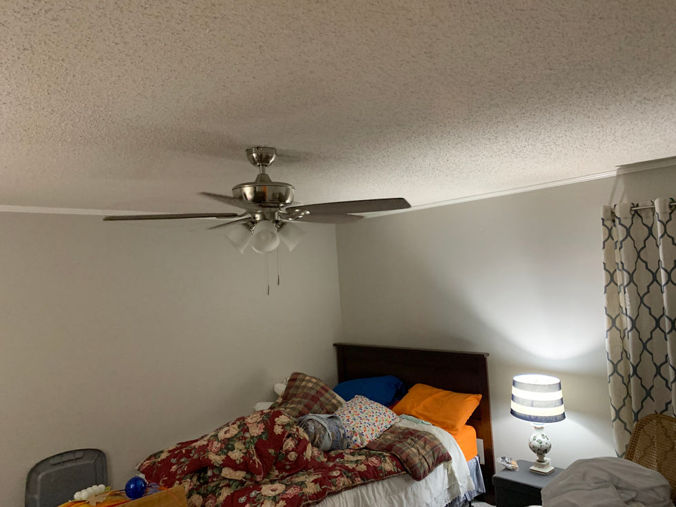 IMG_2616.jpeg