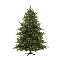 Sapin de Noël et Illuminations