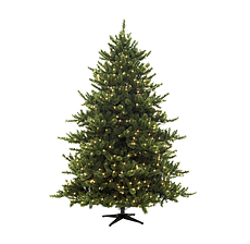 christmas tree festive hot tubs Rotherham Hot Tub Hire cheap low cost hire a hot tub rotherham sheffield barnsley doncaster wath brampton goldthorpe wombwell south yorkshire leeds huddersfield doncaster wakefield rawmarsh rotherham party hot tub jacuzzi eazy hot tubs rotospa orbis finance pay monthly
