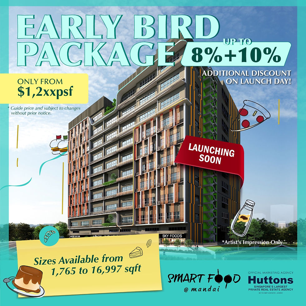 Early Bird Package discount launch day date developer sale smartisan