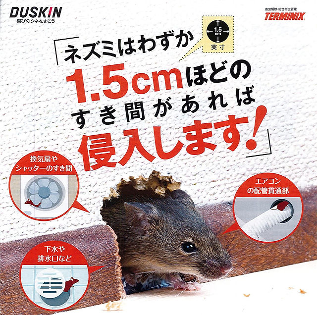 ed0b72_9753f7bd24cb49909007670 ed0b72_9753f7bd24cb49909007670