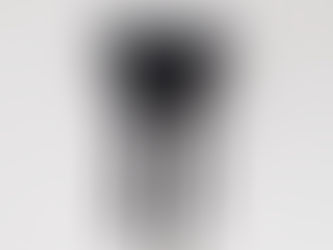 ?/my beautiful landlet