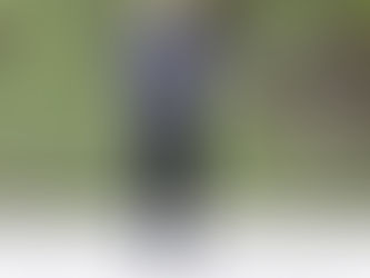 my beautiful landlet