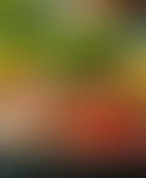 Maximize Results with Intermittent Fasting Nutritionist Tips