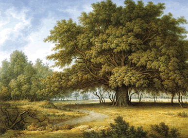 Glover. Swilker oak, 1840. Clarendon Hom