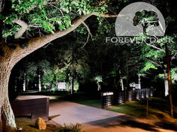 Outdoor Lighting Burlington, Oakville, Hamilton, Ontario6-CFE4-4DFA-8044-5EFD89E78AA9