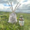 Thumbnail: Reed Diffuser - Y Maes
