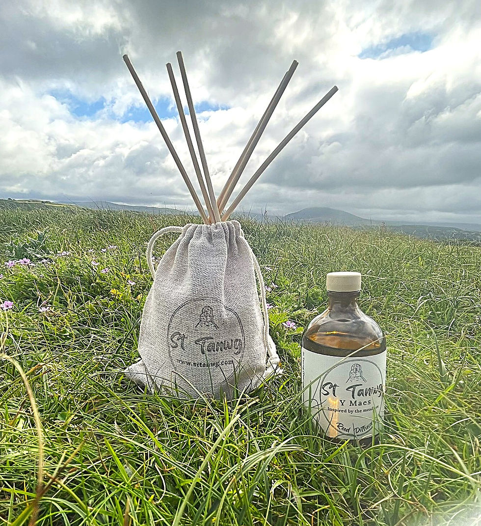 Thumbnail: Reed Diffuser - Y Maes