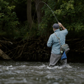 Sat, Dec 6: Angler Input Needed to Help Stop Spread of the Invasive Round Goby