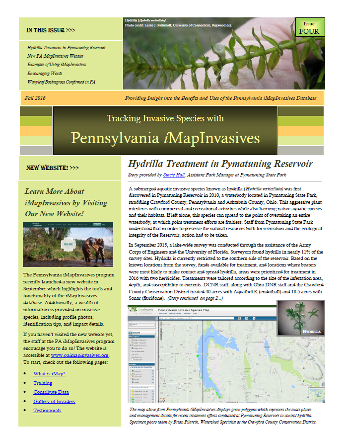 Pennsylvania iMapInvasives newsletter (Issue 4, Fall 2016)