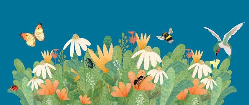 Pollinator flyer picture.jpg