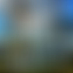 Save the Date: 2026 Celebrate the Lake (Aug 1)