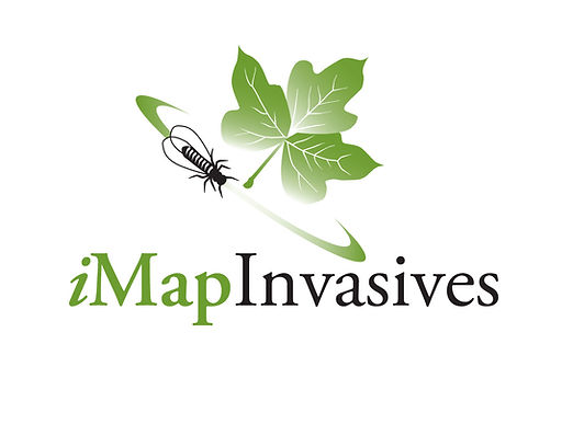 iMapInvasives logo