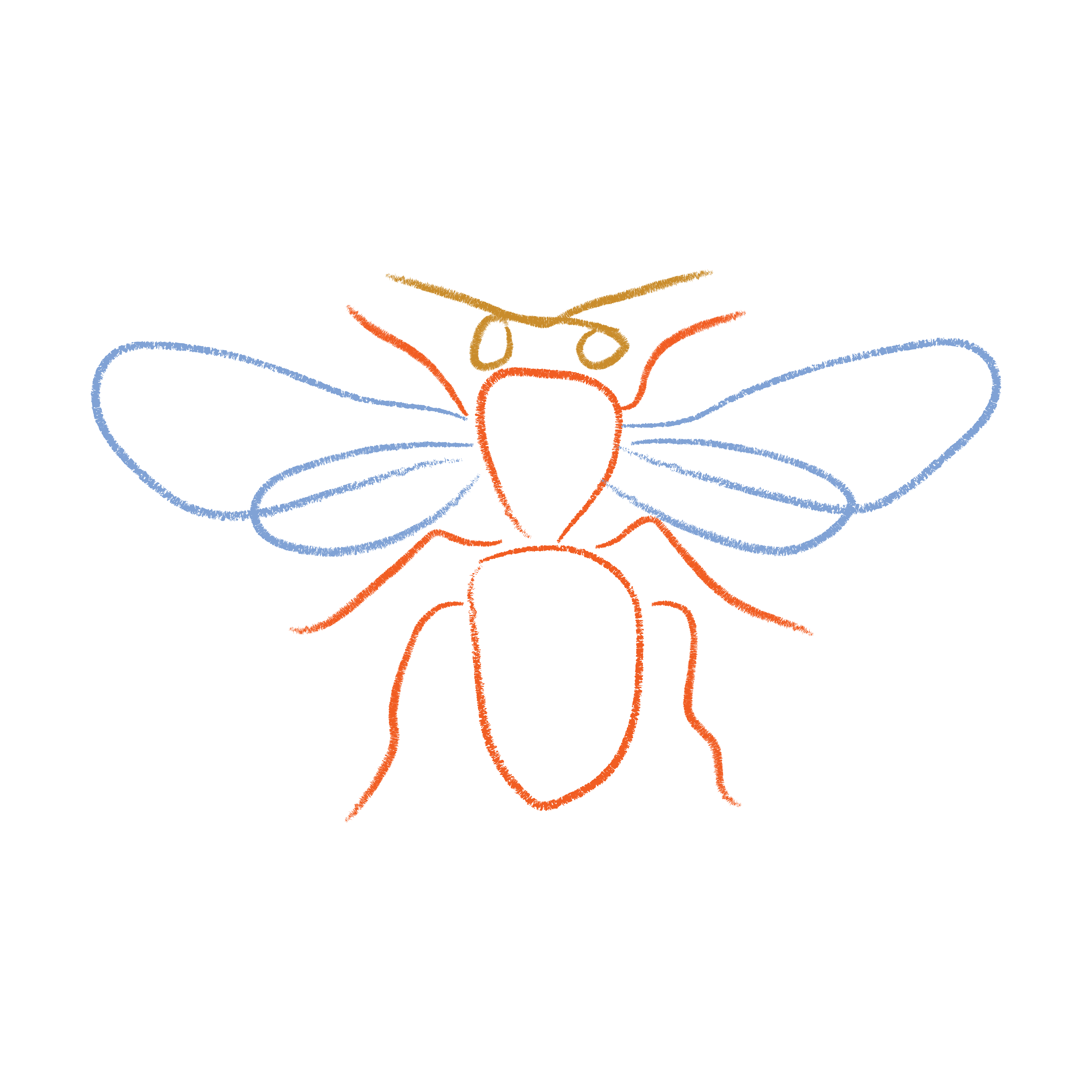 ANIMALS_illustratie 1.png