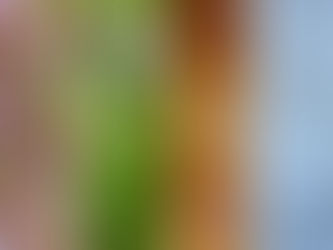 How to Protect Your Car's Paint in All Seasons