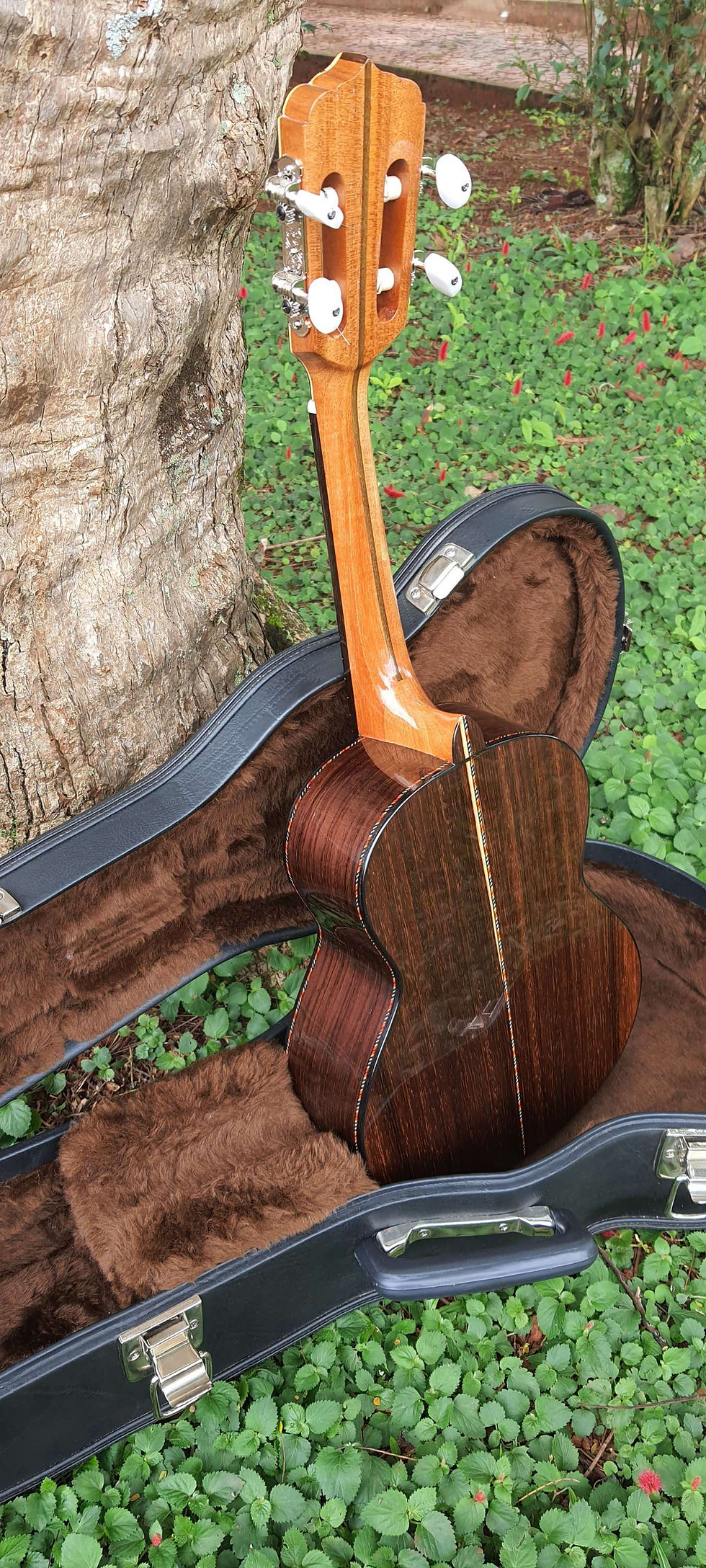 Miniatura: Cavaquinho Modelo Waldir Jacaranda Bahia