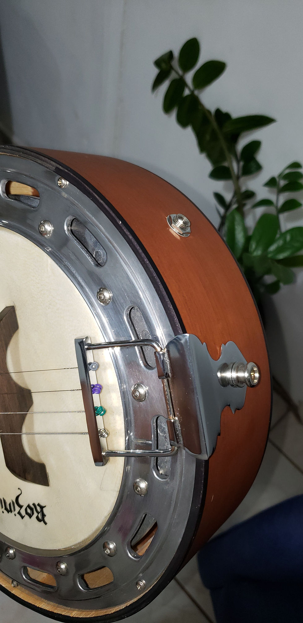 Miniatura: Banjo Rozini Rj14elf