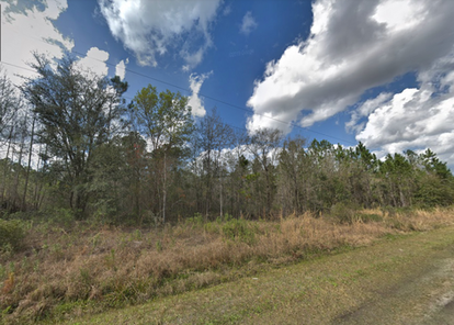 Carpenter Ave, Hastings, FL 32145