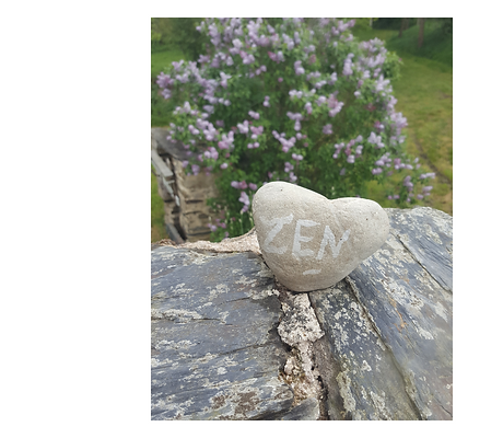 Sophrologie en pleine nature