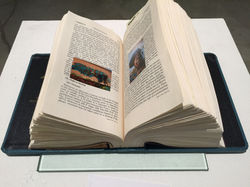 Semantics of Willful Ignorance