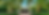 31_Page_photo.png