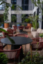 Terraza con mobiliario moderno y plantas en proyecto residencial.