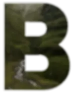 Sebastian-Laemmle-RBE-B.webp