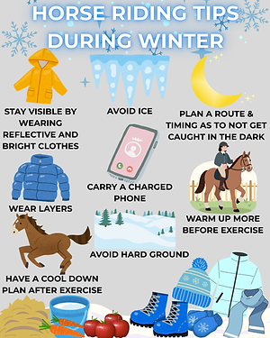 Horse riding tips during winter