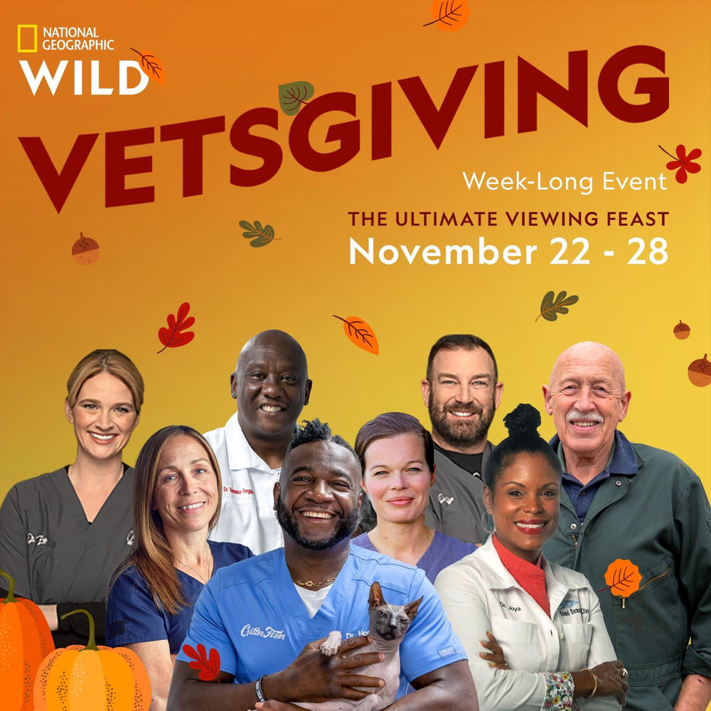 NAT GEO WILD GIVES THANKS ‘FUR’ ITS STABLE OF VETERINARIANS WITH SUPERSIZED SERVING OF VETSGIVING!