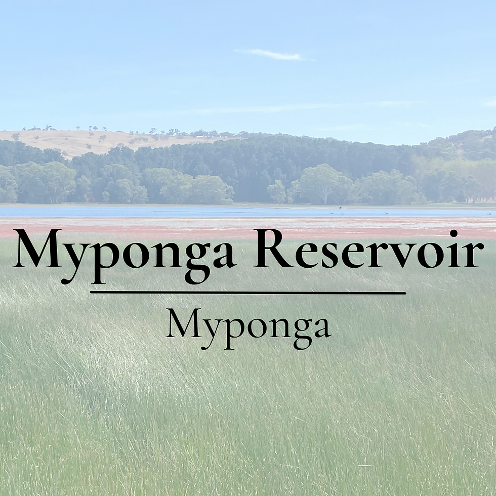 Myponga Reservoir