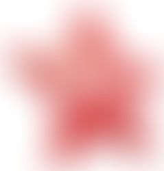 Partido dos Trabalhadores (PT) busca sucessor do presidente Rui Falcão