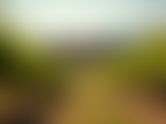 Ontdek de mooiste vakantiehuizen in Italië