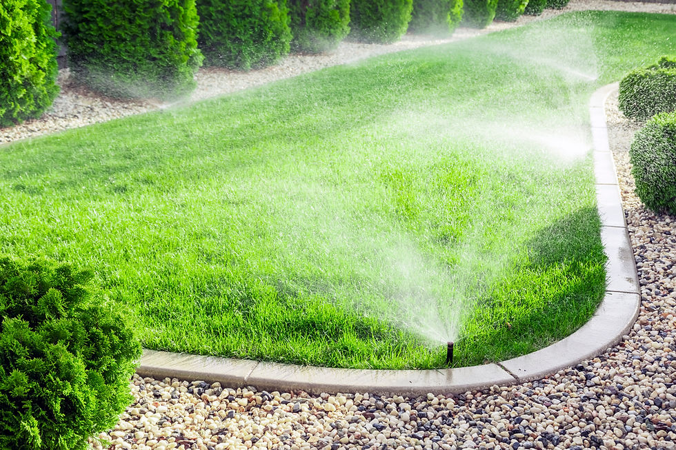 Sprinklers watering grass, green lawn in garden.jpg
