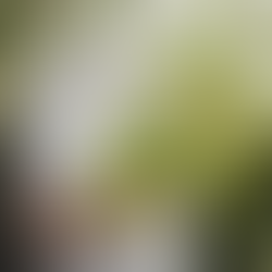 Grossesse : plantes et astuces pour améliorer la qualité du sommeil