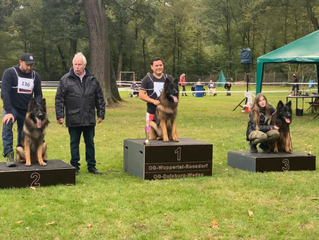 Zuchtschau Duisburg 11.10.2020