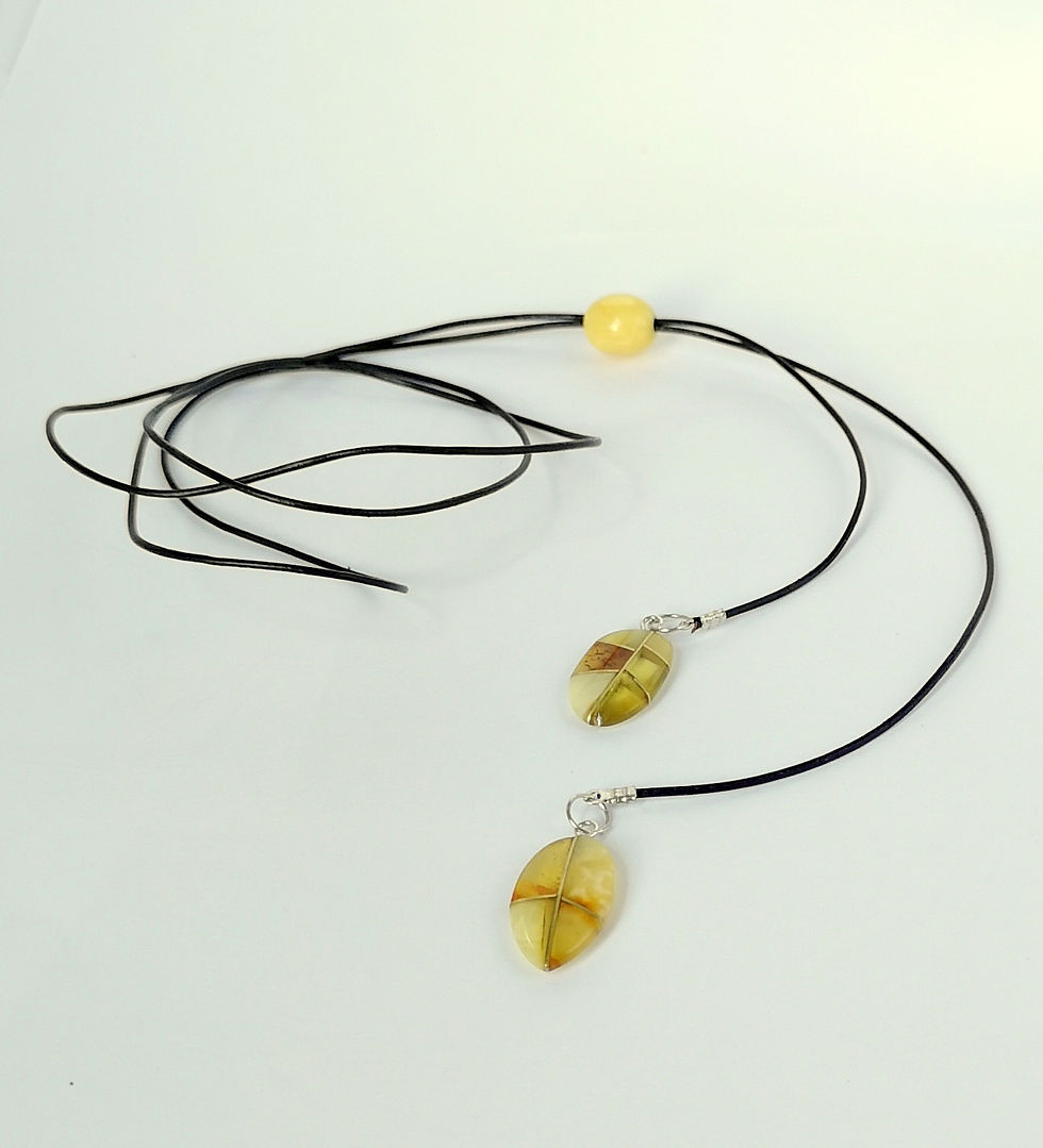 Miniatiūra: Multicolor amber necklace jewelry