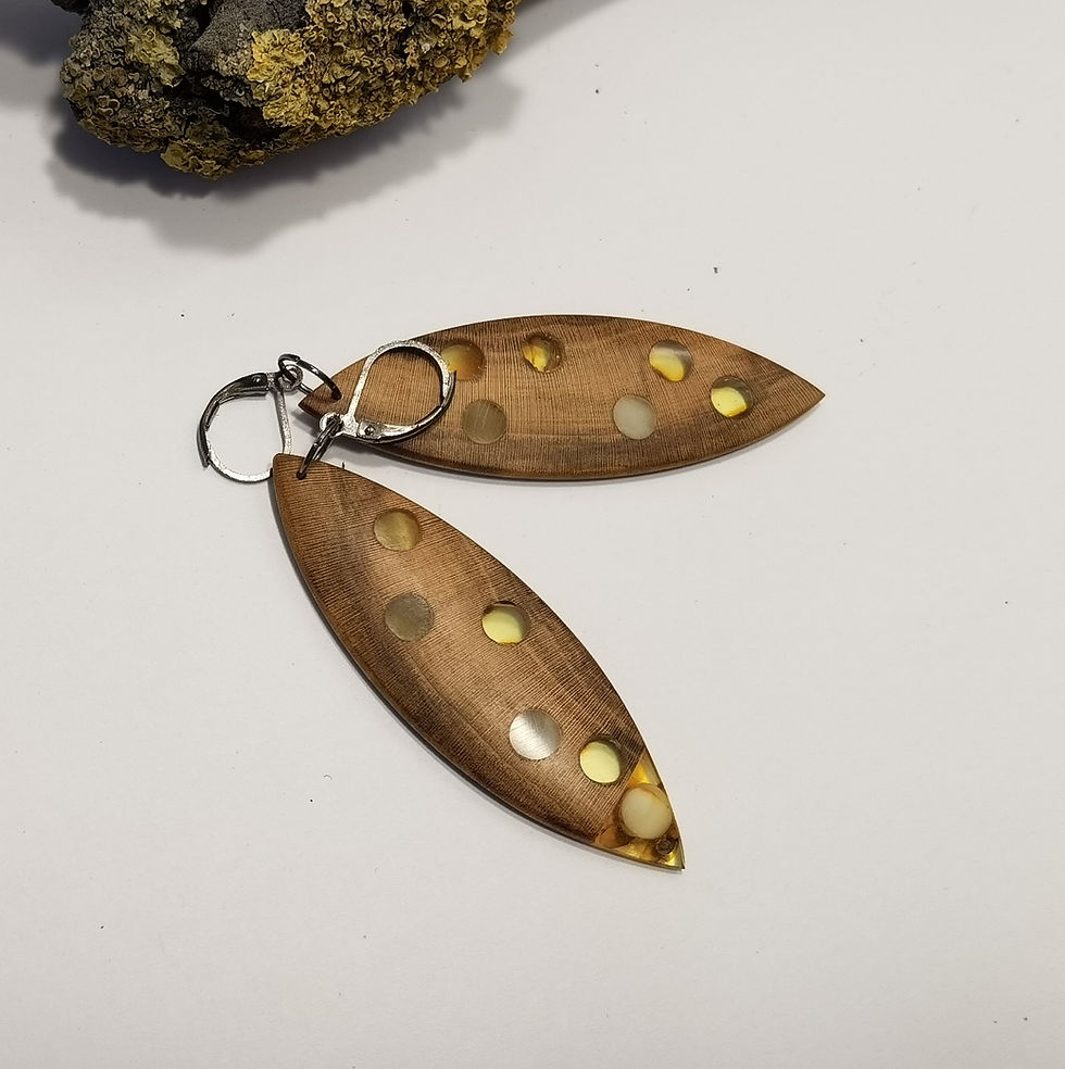 Miniatiūra: MULTICOLOR AMBER - WOODEN EARRINGS
