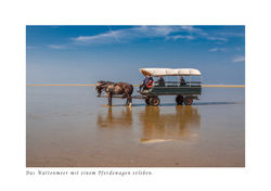 Pferdewagen Wattenmeer