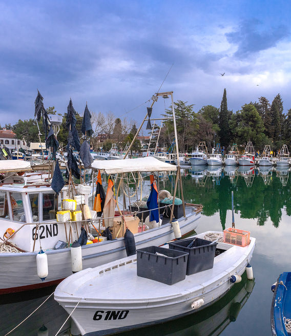 Fischerhafen Novigrad_S1A0331.jpg